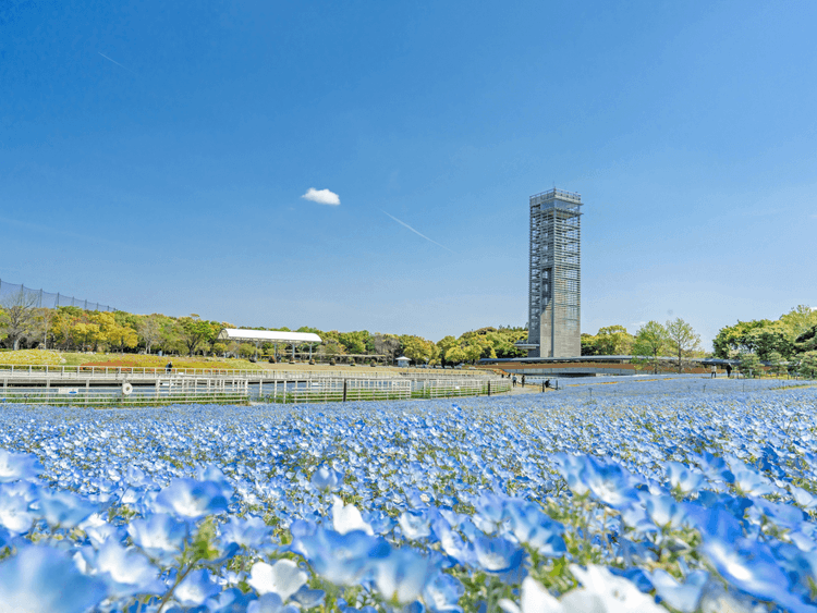 浜名湖ガーデンパーク