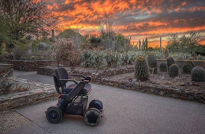 Desert Botanical Gardens