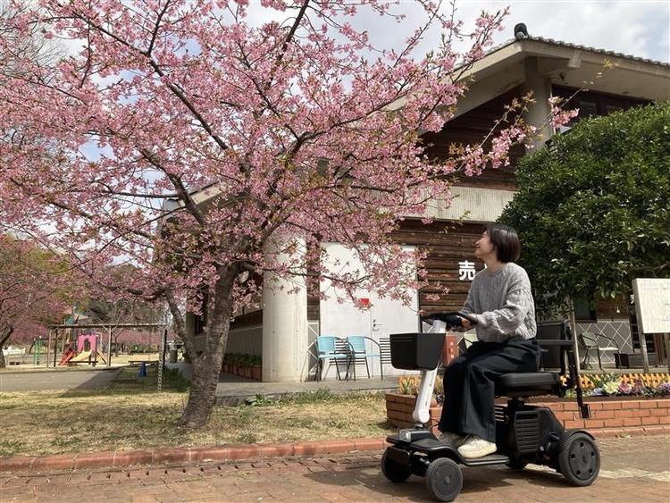 あけぼの山農業公園・あけぼの山公園