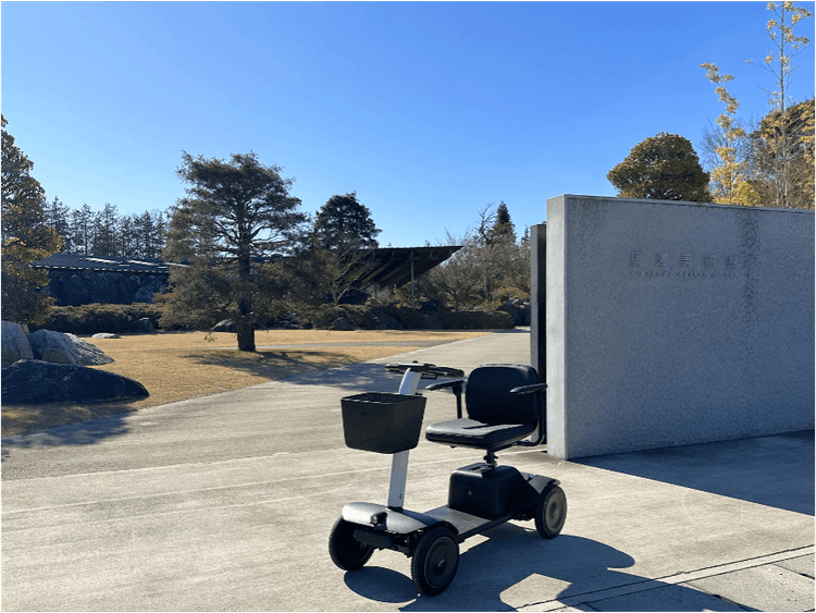 ザ・ヒロサワ・シティ