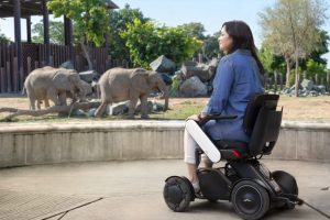 Palm Beach Zoo Introduces WHILL Power Chair Service to Provide Improved Mobility for Guests