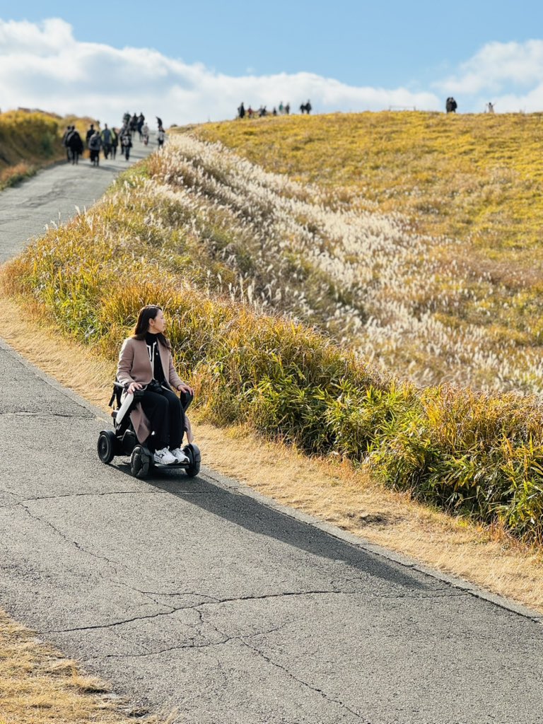 秋冬の行楽はウィルを借りて快適なお出かけを